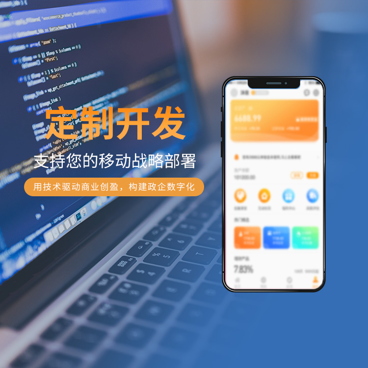 定制開發(fā) 定制開發(fā)